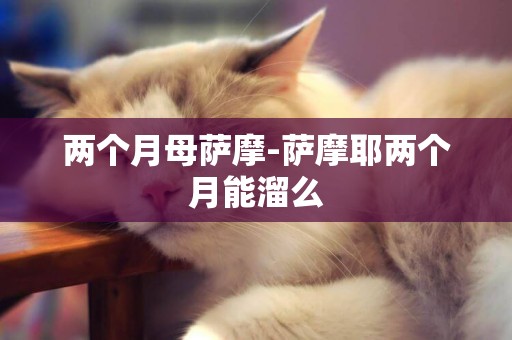 兩個月母薩摩-薩摩耶兩個月能溜么