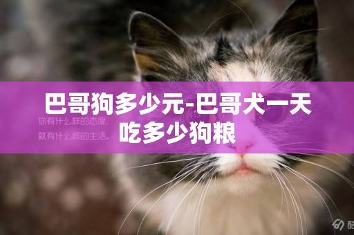 巴哥狗多少元-巴哥犬一天吃多少狗糧