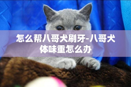 怎么幫八哥犬刷牙-八哥犬體味重怎么辦