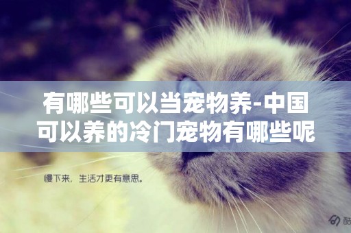 有哪些可以當寵物養-中國可以養的冷門寵物有哪些呢