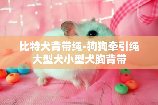 比特犬背帶繩-狗狗牽引繩大型犬小型犬胸背帶