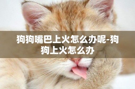 狗狗嘴巴上火怎么辦呢-狗狗上火怎么辦