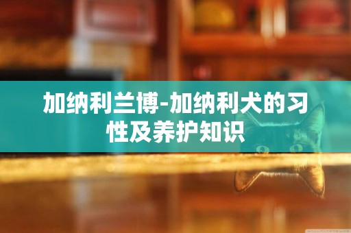加納利蘭博-加納利犬的習性及養護知識