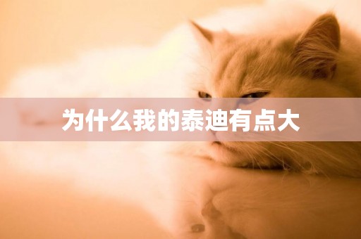 為什么我的泰迪有點大