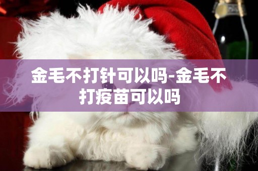 金毛不打針可以嗎-金毛不打疫苗可以嗎