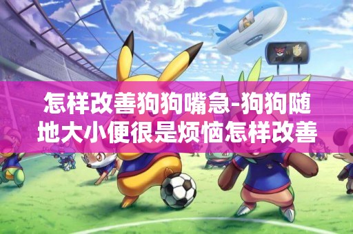 怎樣改善狗狗嘴急-狗狗隨地大小便很是煩惱怎樣改善
