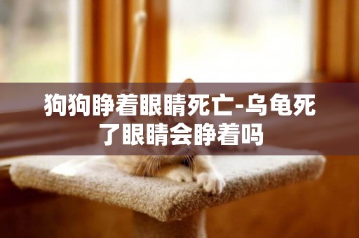 狗狗睜著眼睛死亡-烏龜死了眼睛會睜著嗎