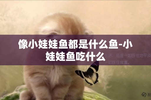 像小娃娃魚都是什么魚-小娃娃魚吃什么