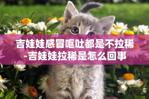 吉娃娃感冒嘔吐都是不拉稀-吉娃娃拉稀是怎么回事