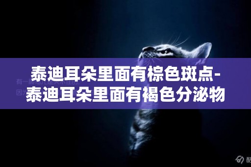 泰迪耳朵里面有棕色斑點-泰迪耳朵里面有褐色分泌物