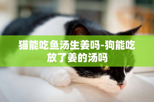 貓能吃魚湯生姜嗎-狗能吃放了姜的湯嗎