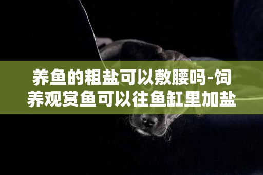 養魚的粗鹽可以敷腰嗎-飼養觀賞魚可以往魚缸里加鹽