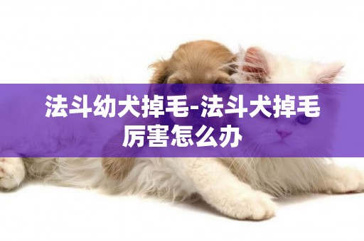 法斗幼犬掉毛-法斗犬掉毛厲害怎么辦