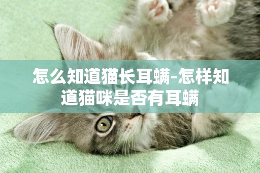 怎么知道貓長耳螨-怎樣知道貓咪是否有耳螨