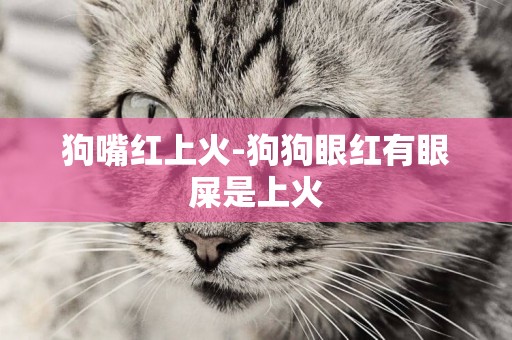 狗嘴紅上火-狗狗眼紅有眼屎是上火