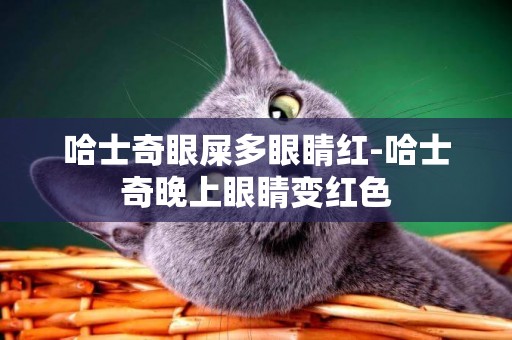 哈士奇眼屎多眼睛紅-哈士奇晚上眼睛變紅色