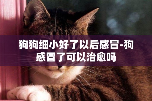 狗狗細小好了以后感冒-狗感冒了可以治愈嗎