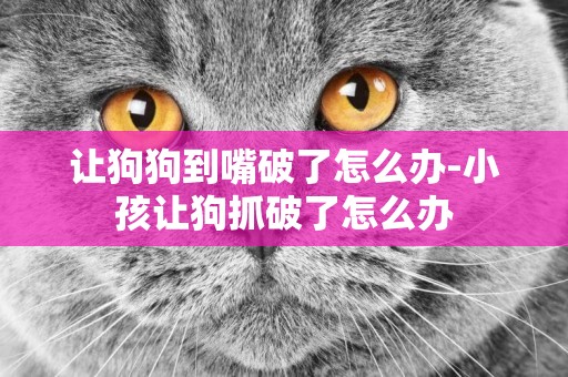 讓狗狗到嘴破了怎么辦-小孩讓狗抓破了怎么辦