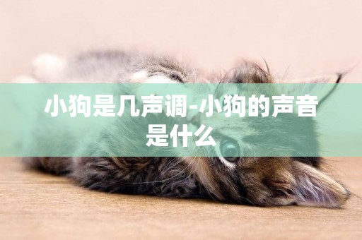 小狗是幾聲調-小狗的聲音是什么