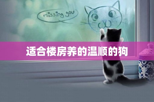 適合樓房養的溫順的狗