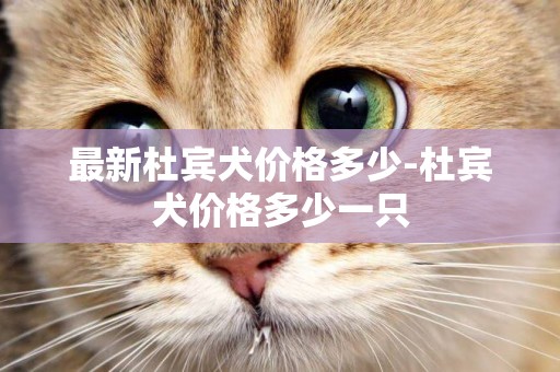 最新杜賓犬價格多少-杜賓犬價格多少一只