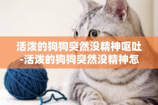 活潑的狗狗突然沒精神嘔吐-活潑的狗狗突然沒精神怎么回事