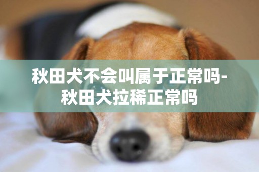 秋田犬不會叫屬于正常嗎-秋田犬拉稀正常嗎