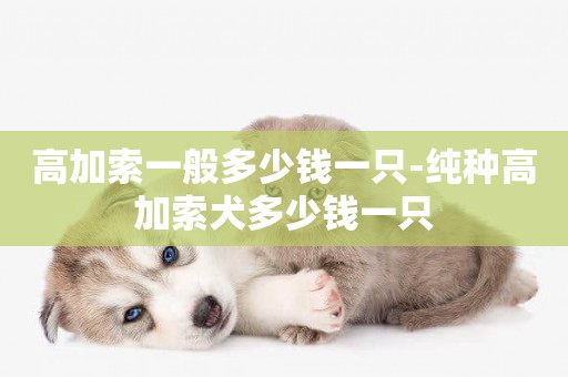 高加索一般多少錢一只-純種高加索犬多少錢一只