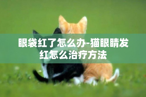 眼袋紅了怎么辦-貓眼睛發紅怎么治療方法