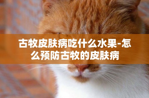 古牧皮膚病吃什么水果-怎么預防古牧的皮膚病