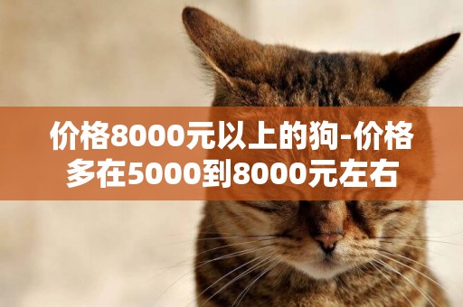價格8000元以上的狗-價格多在5000到8000元左右