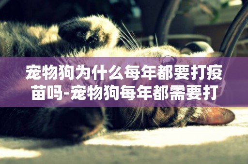 寵物狗為什么每年都要打疫苗嗎-寵物狗每年都需要打疫苗嗎