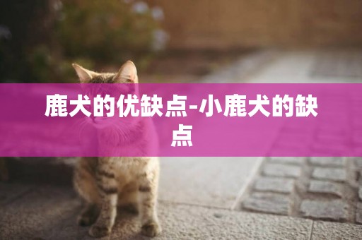 鹿犬的優缺點-小鹿犬的缺點