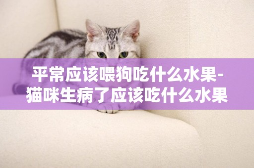 平常應該喂狗吃什么水果-貓咪生病了應該吃什么水果