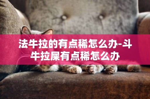 法牛拉的有點稀怎么辦-斗牛拉屎有點稀怎么辦