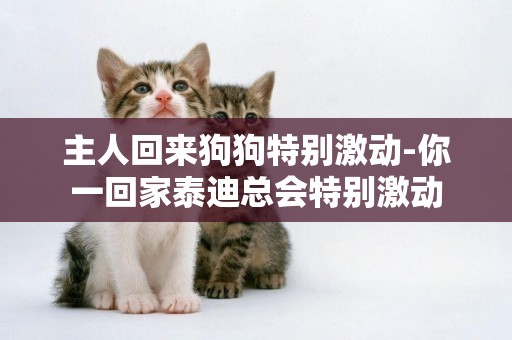 主人回來狗狗特別激動-你一回家泰迪總會特別激動