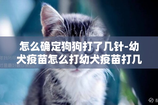 怎么確定狗狗打了幾針-幼犬疫苗怎么打幼犬疫苗打幾針