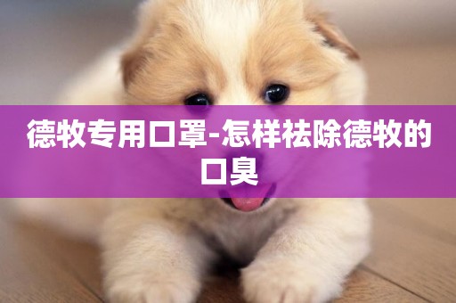德牧專用口罩-怎樣祛除德牧的口臭