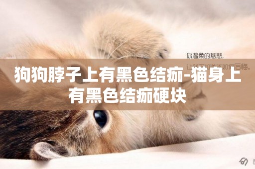 狗狗脖子上有黑色結痂-貓身上有黑色結痂硬塊