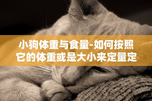 小狗體重與食量-如何按照它的體重或是大小來定量定食
