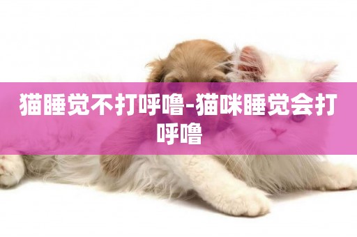 貓睡覺不打呼嚕-貓咪睡覺會打呼嚕