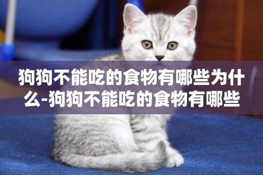 狗狗不能吃的食物有哪些為什么-狗狗不能吃的食物有哪些