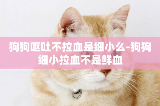 狗狗嘔吐不拉血是細小么-狗狗細小拉血不是鮮血