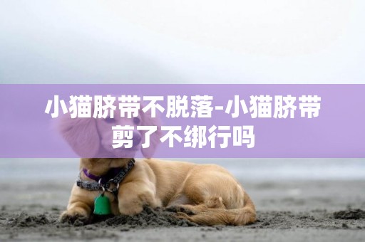 小貓臍帶不脫落-小貓臍帶剪了不綁行嗎