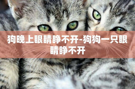 狗晚上眼睛睜不開-狗狗一只眼睛睜不開