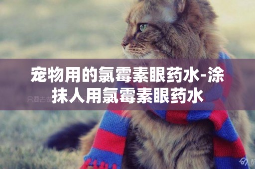 寵物用的氯霉素眼藥水-涂抹人用氯霉素眼藥水 寵物用的氯霉素眼藥水-涂抹人用氯霉素眼藥水