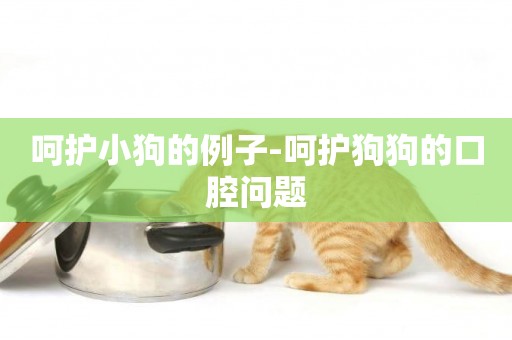 呵護小狗的例子-呵護狗狗的口腔問題