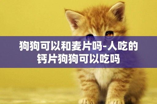 狗狗可以和麥片嗎-人吃的鈣片狗狗可以吃嗎 狗狗可以和麥片嗎-人吃的鈣片狗狗可以吃嗎
