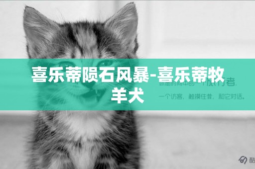 喜樂蒂隕石風暴-喜樂蒂牧羊犬