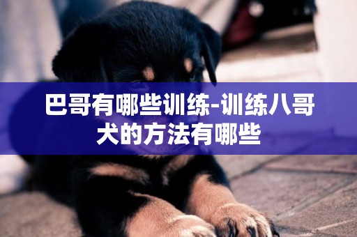 巴哥有哪些訓練-訓練八哥犬的方法有哪些